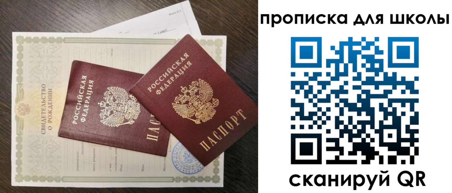 прописка гарантия в Курской области